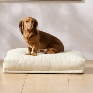 Saatva Dog Bed | M | Natural